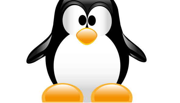 LinuxEssentials 対策講座　バウチャーチケット付き